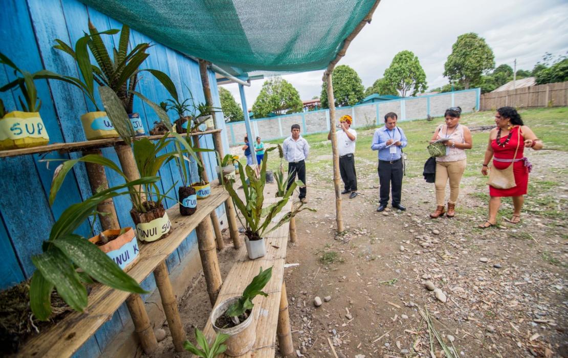 Imagen 4 Modelo de revitalización cultural lingüística y su aporte social al desarrollo de la educación rural