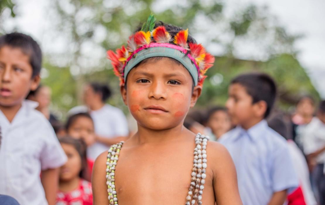 Imagen 7 Modelo de revitalización cultural lingüística y su aporte social al desarrollo de la educación rural